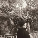 aaamaaan_thapa10 profile picture