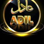 aadilhussiankhan profile picture