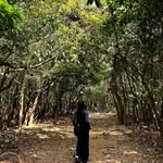 aagya._d._ackerman profile picture