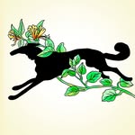 aaknopf profile picture