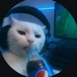 aamirrr___02 profile picture