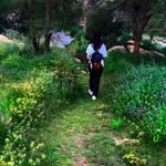 aamjad.ma profile picture