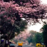 aao_kabhi_shahapur profile picture