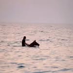 aaravpatel1229 profile picture