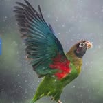aarohisharma8847 profile picture