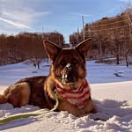 aaronpaulw21 profile picture