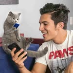 aaronsanimals profile picture