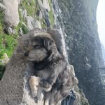 aaryush.bs profile picture