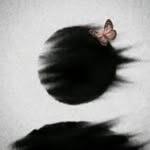 aashiii.21 profile picture