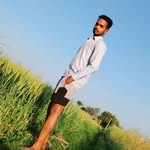 aashish.singh7301 profile picture