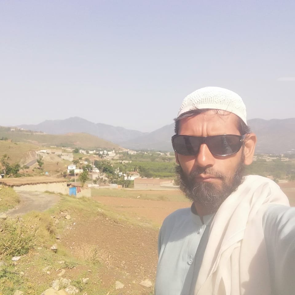 aasi.khan530 profile picture