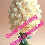 aasihtiwari profile picture