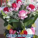 aatish2868 profile picture