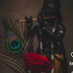 aayushi_parehar4506 profile picture