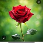 ababul150 profile picture