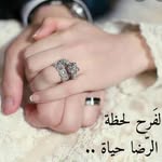 abd.abdessettar.39 profile picture
