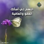 abdelkhaleksanad profile picture