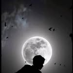 abdou_mrn_10 profile picture