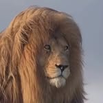 abdulansarigaji profile picture