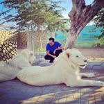 abdul_ark_ profile picture