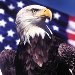 abdullahoninsta profile picture