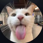 abdull__munaf profile picture