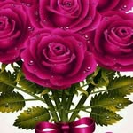 abdurrashid978 profile picture