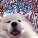 abe524804 profile picture