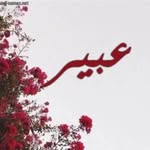 abeeerr51 profile picture