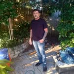 abelfox6969 profile picture