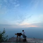 abhay._.8088 profile picture