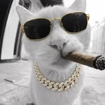 abhiiraaz_ profile picture