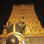 abhilashtiger2.0 profile picture