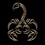 abhishek_23299 profile picture