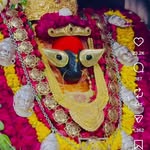 abhishek_p_mishra profile picture