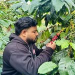 abhishek_stha09 profile picture