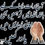 abidhussain76095 profile picture