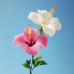 abid_u__ profile picture