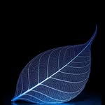 abiie_zr profile picture
