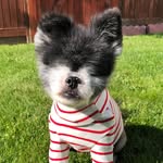 abi_with_no_eyes profile picture