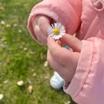 abla_sd.x profile picture