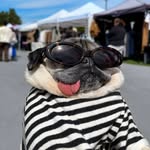 aboonguyen profile picture