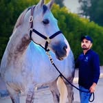 abrar_khan_786_dubai profile picture