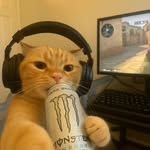absolut_sarbajit profile picture