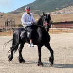 abus_magomedov profile picture
