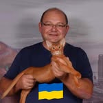abyssinian_sharavi profile picture