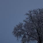 ac33_111 profile picture