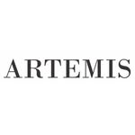 accessoriesartemis profile picture