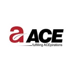 acegroupofficial profile picture
