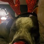 acemans_adventures profile picture